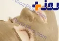 با این 4 ماسک پوستتان را مثل آینه صاف و شفاف کنید