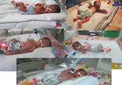 عکس/ مادر 25 ساله شیرازی، 5 قلو به دنیا آورد