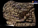 قدیمی ترین کیف پول جهان متعلق به ۴۵۰۰ سال پیش+عکس