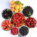 ۵ میوه تابستانی که بدنتان را پاکسازی می‌کند