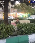 استراحت جالب يك باغبان شهرداري در خيابان ستارخان+عكس