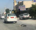 عکس/ آزار یک قلاده سگ به شکل وحشیانه