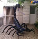 ساخت مجسمه با لاستیکهای فرسوده در اراک+عکس