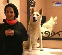 سگ گرگی ترسناک و عجیب خانم بازیگر مشهور+عکس