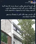 نجات جالب بچه گربه در اردبیل +عکس