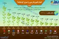اینفوگرافیک/ کدام کشورها زمین را سبزتر کرده‌اند؟