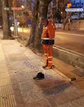 نماز خواندن یک پاکبان در کنار خیابان + عکس