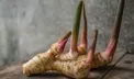 گیاهی شگفت انگیز که از حملات قلبی جلوگیری می‌کند