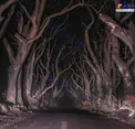 عکس/ جاده وحشت در ایرلند شمالی