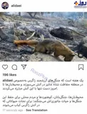 واکنش علی دایی به آتش سوزی جنگل‌های زاگرس+ عکس