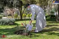 کاشت یک اصله نهال میوه توسط رئیس قوه قضاییه/عکس