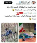 عکس/ تمسخر رژیم‌ صهیونیستی توسط کاربران عرب‌ در حاشیه حادثه اصفهان