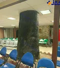 عکسی جالب از درختی که وسط درمانگاه بیمارستان اختر وجود دارد