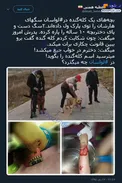 سگ های هار یک آقازاده در لواسان! + عکس