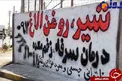درمان سرفه و زخم معده با شیر الاغ! +عکس
