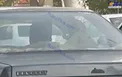 تصویری عجیب از حمل بُز با خودروی پژو در تهران
