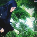 عکس بهاری که پسر الهام چرخنده از او گرفت