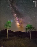 کهکشان راه شیری در آسمان عروسان/عکس