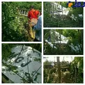 تصاوير سقوط هواپيما در رشت