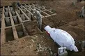 عواملی که مرگ را برای ما راحت و آسان می‌کند!
