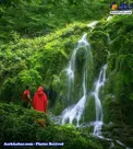 عکس/ آبشار تمام خزه‌ای بولا در ایران