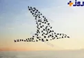 عکس برتر موسسه نشنال جیوگرافیک