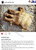پست طنزپرداز معروف  درباره پلاسکو+ عکس