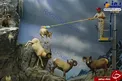 فعالیت جالب نظافت‌چی‌ها در فروشگاه سیدنی+عکس
