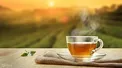 این گیاه خوش عطر، سنگ کلیه را می‌شکند