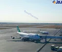 فيل و فنجان بوئينگ +عکس
