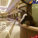 لوکس ترین اصطبل اسب جهان در دبی + عکس