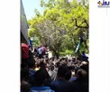 عکس/ حضور هواداران روی درخت برای تهیه بلیت!