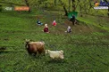 عکس/ کلاس درس در فضای باز