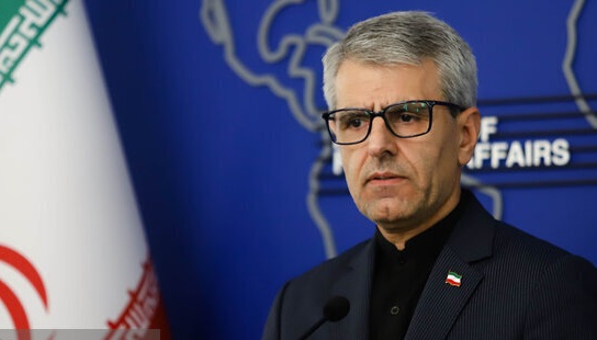ناکامی برلین در کسب کرسی شورای امنیت به دلیل ریاکاری حاکمان آلمان است ناکامی برلین در کسب کرسی شورای امنیت به دلیل ریاکاری حاکمان آلمان است