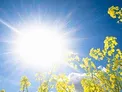 علائم سکته گرمایی را در تابستان جدی بگیرید