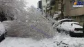 مسدود شدن برخی از خیابان‌های تهران به دلیل شکستگی درختان/عکس