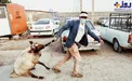 درگیری عجیب گوسفند با صاحبش / عکس