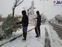 عکس/ بارش برف بهاری در بادرود و غافلگیری مردم