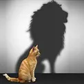 راهکارهایی برای افزایش اعتماد بنفس