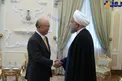 عکس/دیدار روحانی با مدیرکل آژانس بین المللی انرژی اتمی