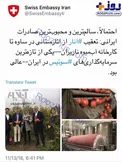 عکس/ سرمایه گذاری سوئیس روی انار ایران!