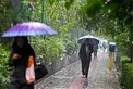 هواشناسی: آغاز تدریجی بارش برف و باران از روز چهارشنبه در کشور