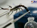 عکس/گرانترین مایع جهان!
