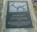 اولین سنگ قبر حیات وحش در ایران +عکس
