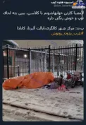 کارتن خواب هاشونم با کلاسن! +عکس
