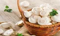 هشدار/ خوردن قارچ برای این بیماران ممنوع!