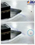 تنها کسی که این روز‌ها مقابل کعبه نماز می‌خواند+ عکس