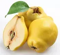 میوه ای که سیستم ایمنی‌تان را قوی می‌کند