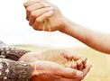 رزق بهشتی به چه مالی تعلق می‌گیرد؟