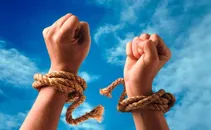 می گویند آزادی! اما بردگی می خواهند